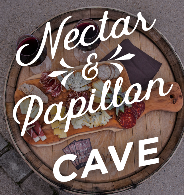 Logo Nectar et Papillon